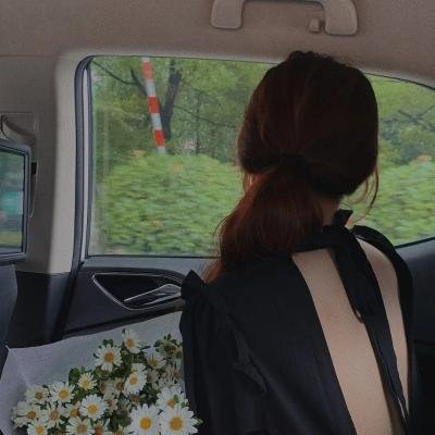 柏德街上的孤岛